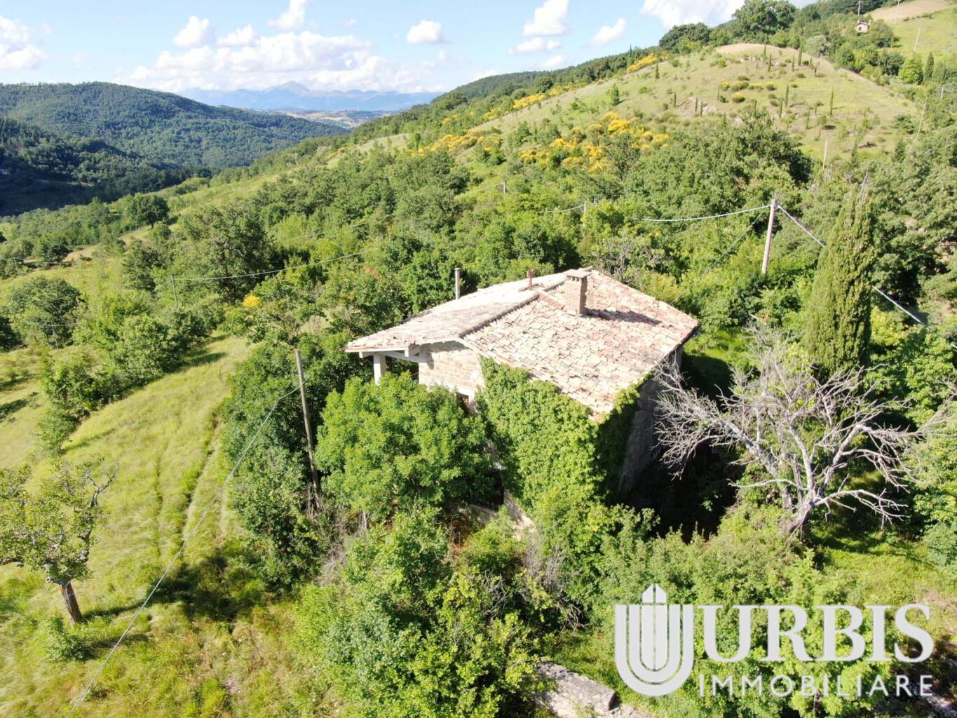 Casale Indipendente – Loc. Santa Maria di Lignano